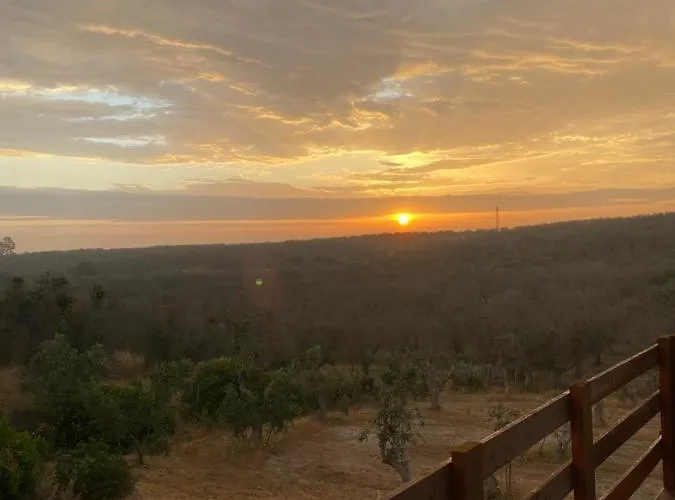 Guest house Le Palombelle