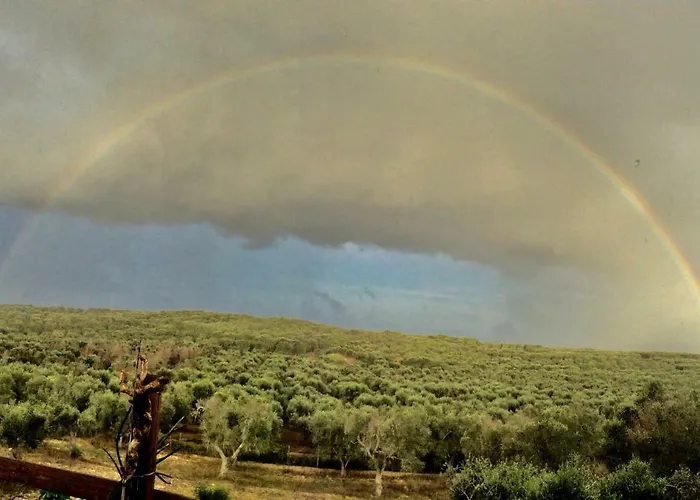 Guest house Le Palombelle 4*