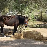 Le Palombelle Gasthof Otranto