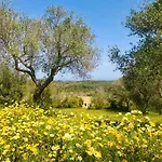 Le Palombelle Pensjonat