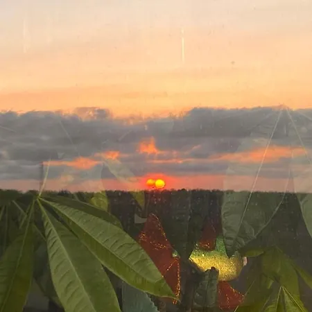 Le Palombelle 招待所 奥特朗托