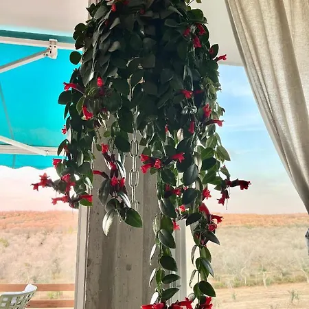 Vendégház Le Palombelle 4*