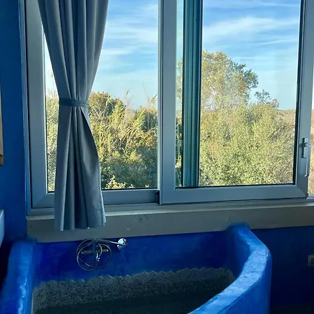 Le Palombelle Holiday home *
