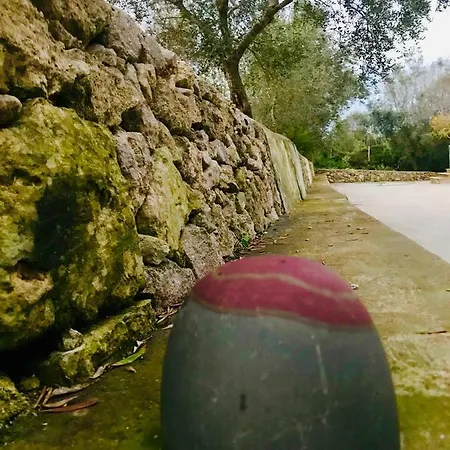 招待所 Le Palombelle 奥特朗托