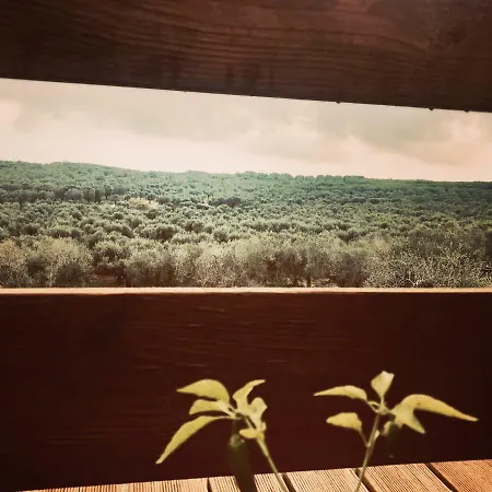 Le Palombelle 4* 奥特朗托