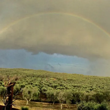 Vendégház Le Palombelle 4*