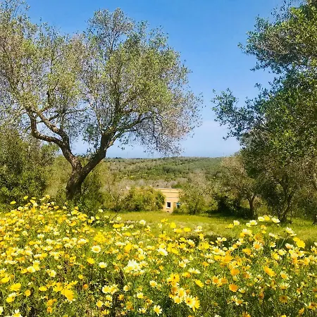 Le Palombelle Vendégház