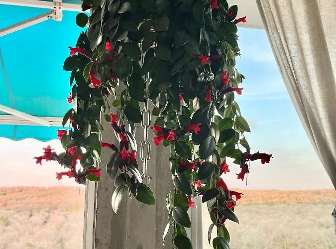 Maison d'hôtes Le Palombelle 4*