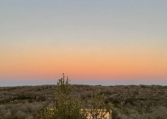 Le Palombelle Maison d'hôtes