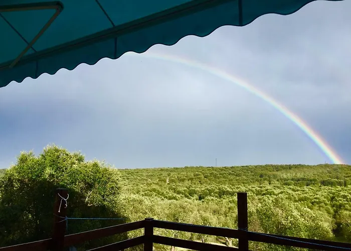 Le Palombelle Affittacamere