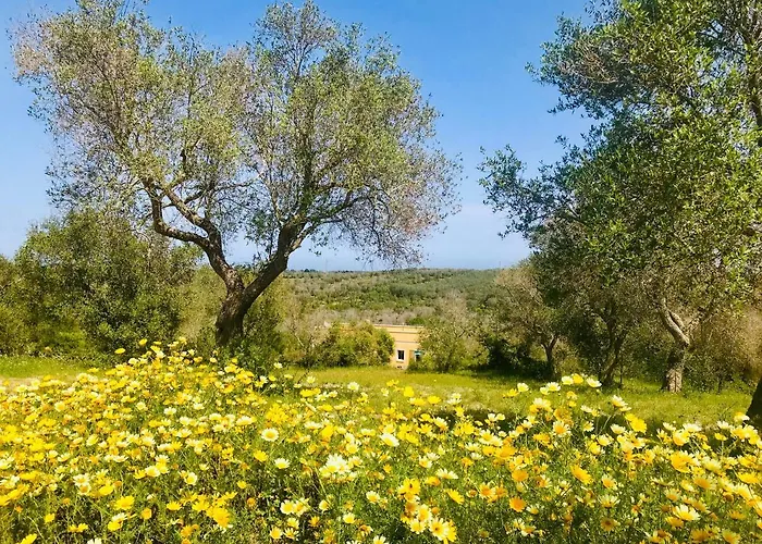 Le Palombelle Maison d'hôtes